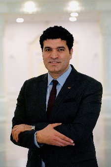 Professor Mahmoud Abdel Hafiez